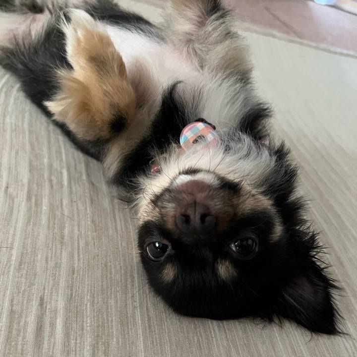 00351301 209b 4614 a99d 842926333e85 1658624999769