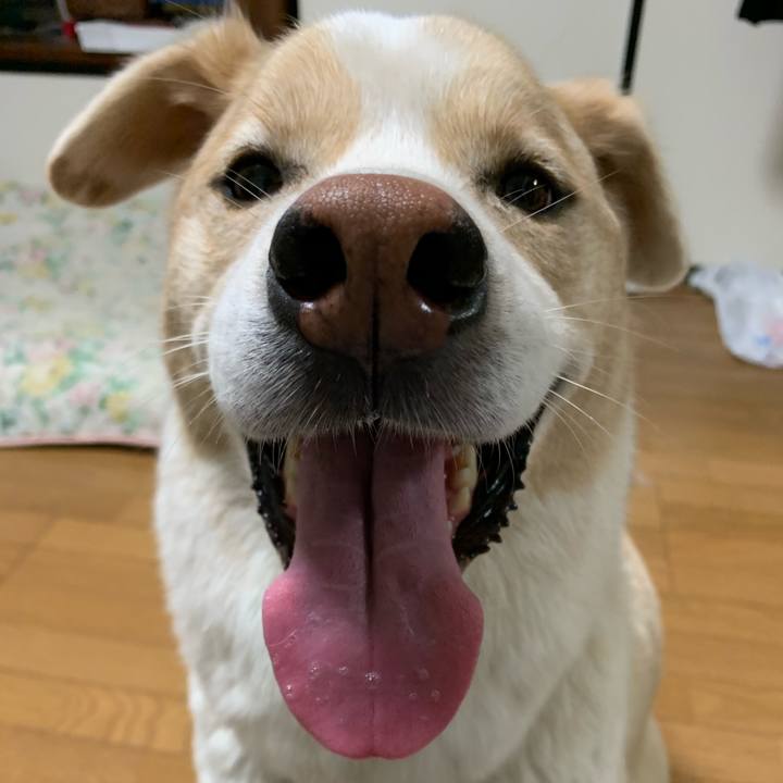 00351c54 a9b1 423c a2f5 16057a65f65d 1572169171258