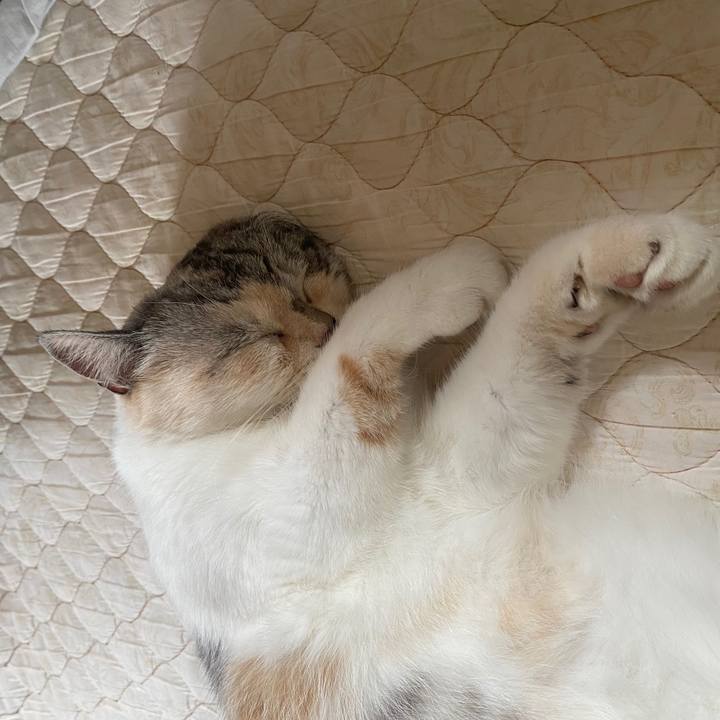 003527ce 7979 4932 9be1 8b0dca3528b1 1595204181049