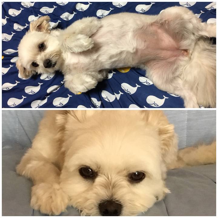 00354ea8 143a 4bc7 bff6 27dc42f45ad8 1531998824717