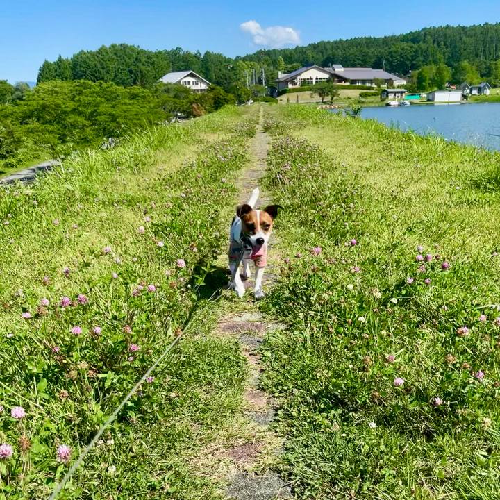 00357c31 5a91 45f0 a0fc eef472e46ba3 1626515769661