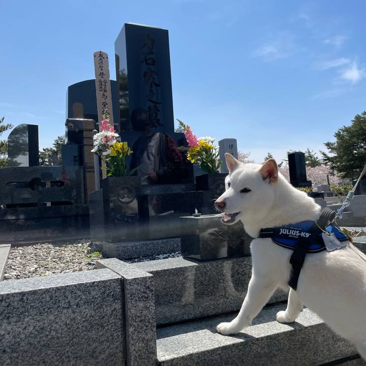 0035c95e 68bf 47c5 b102 0882f24437e8 1650698292100