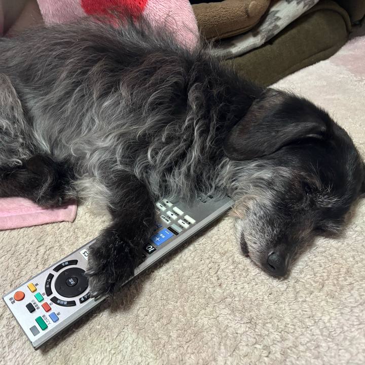 0035e5be 5a3b 4392 a6f5 ec7b5408192b 1746920686530