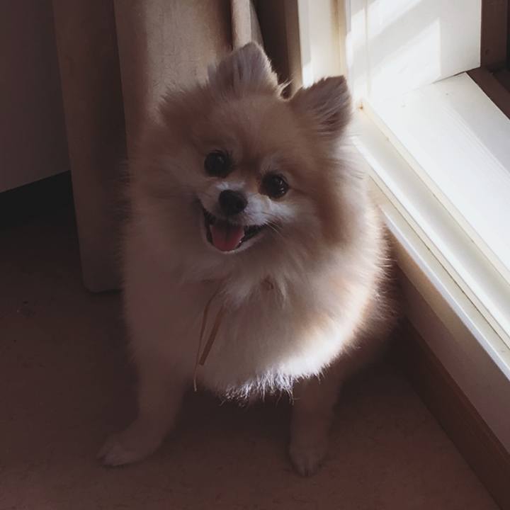 0035f6ae 2ca8 450f 9b70 bb5e3280dc2b 1559814027901