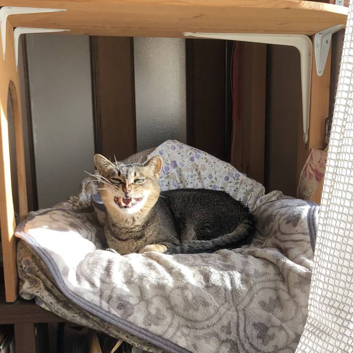 00361dda 9e15 40e3 851c 17a4699f06ca 1743814603066