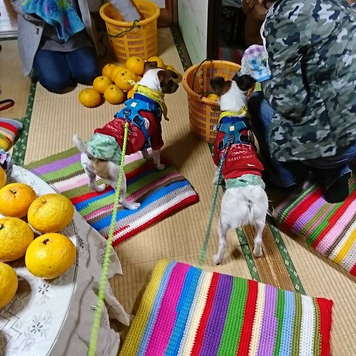 00366a26 1206 42cf b700 f9934819517d 1556340482046