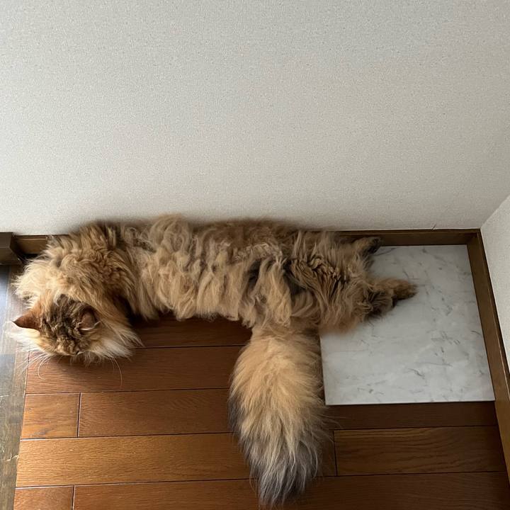 0036d3cb b8b7 49b6 8e11 b8545c696a14 1718622976897