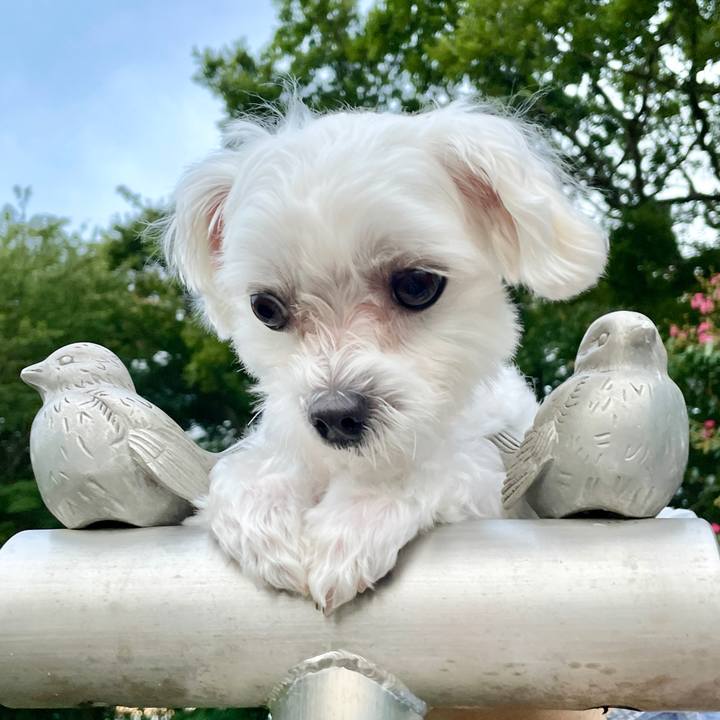 0036dc92 9869 444c 989a dcb11ac374d4 1629171168962