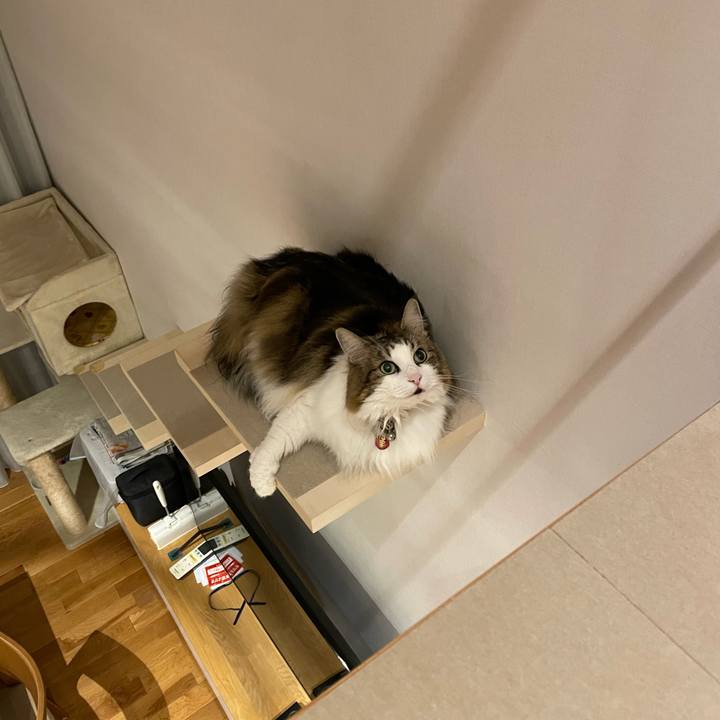 00371b51 3222 4ffe aa82 99ab5edf3398 1702908817852