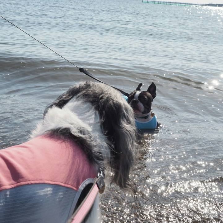 0037496d ec5c 4265 b4b5 4bec9cf3cbe3 1540099507482