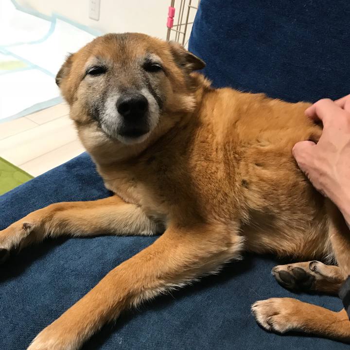 00378023 b0cd 4b29 88c4 3808095e8d3e 1522469967546