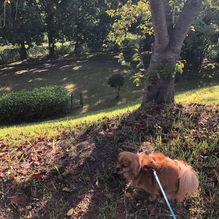 00378268 f292 49e0 9f00 356507ae49ba 1567811276923