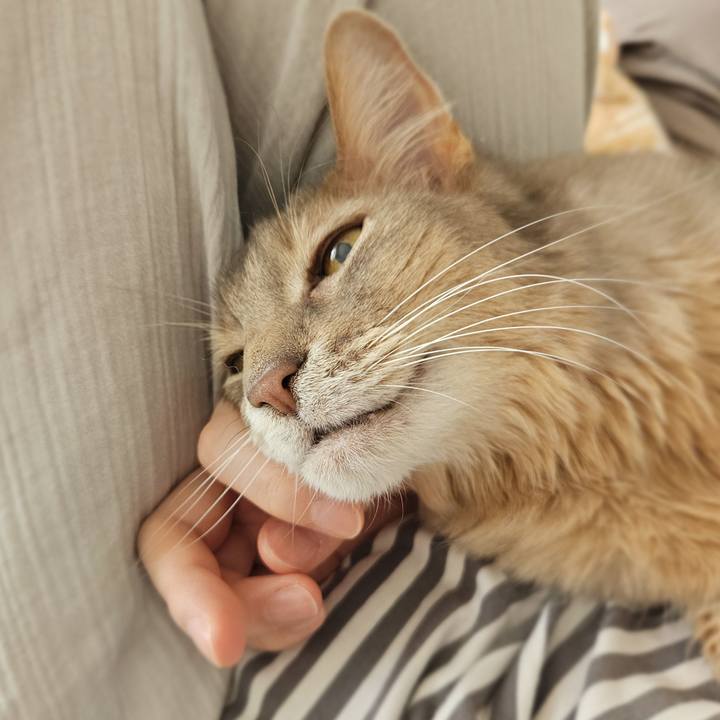 00378619 ba25 482d bc38 9ae98f38cd8b 1774930791923