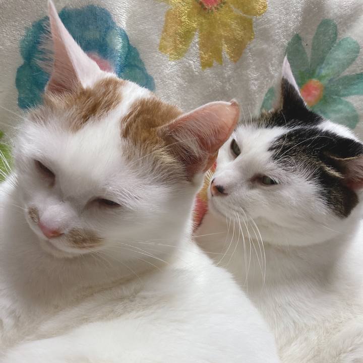 00380187 88b5 4fe2 8615 a45c381b5475 1610283754180