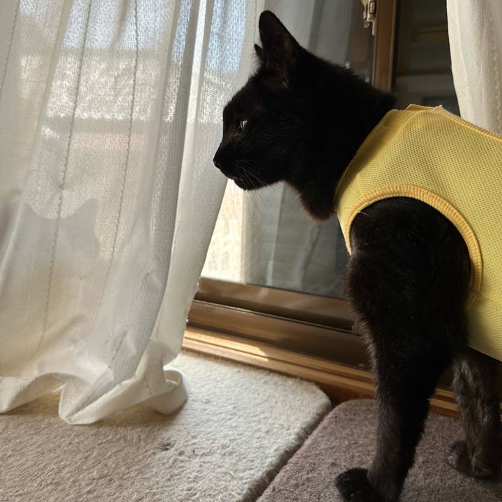 00384a48 48d7 4a26 bfce bf78646d1d36 1716602692712