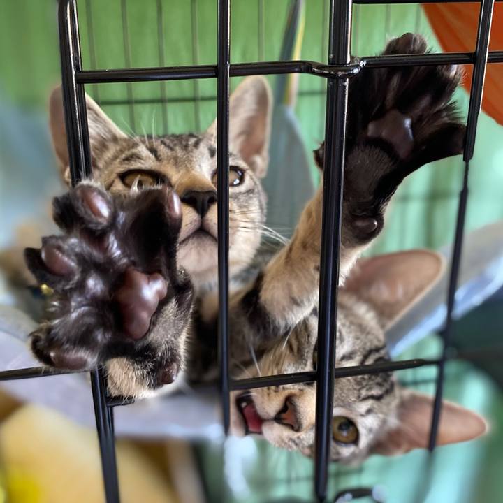 00385e35 65e0 459b 9d1d 5462c5df3392 1724723263182