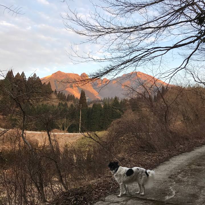 0038c53d 64c6 4eec 879b ac3d2b6a000f 1519979219865