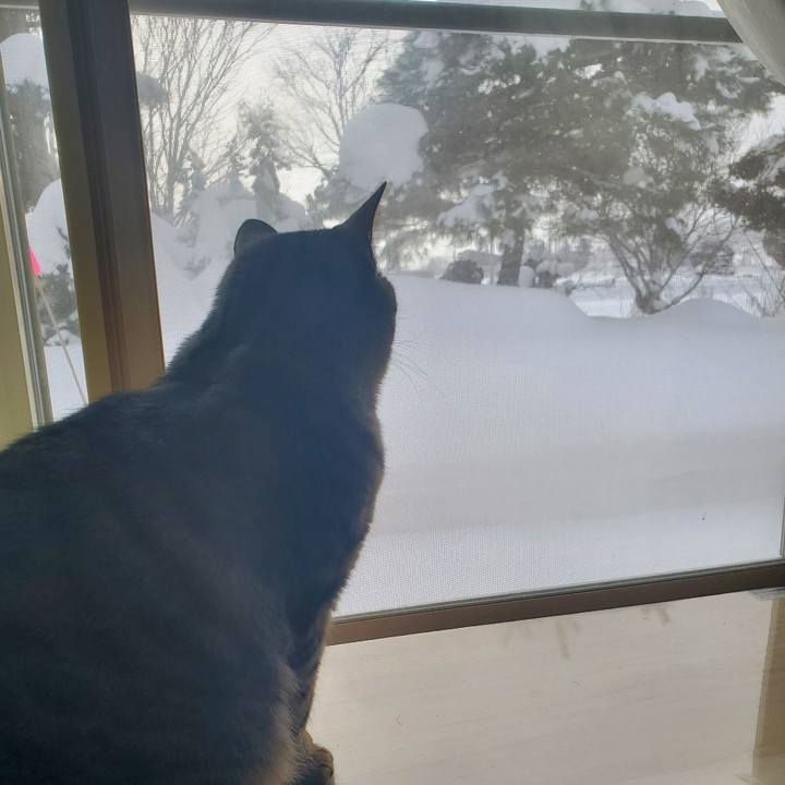 00390fd9 fa86 4677 ac6c d37f20fb45b1 1705636270720