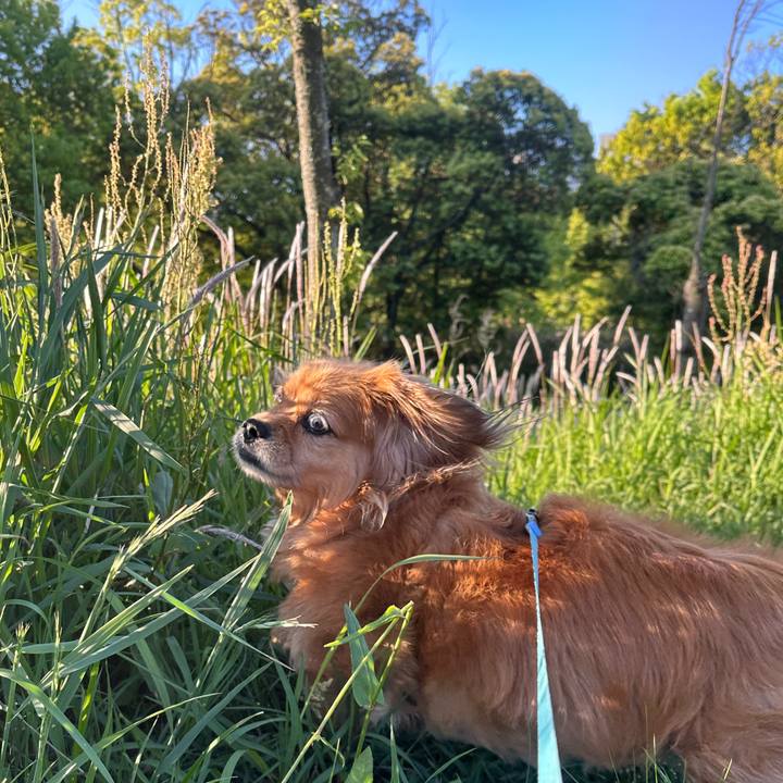 00395a09 706b 4963 862d bcee86b7850a 1715289643527