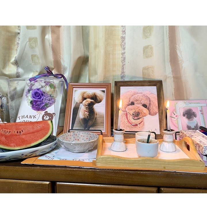 00395f7b 341e 4237 82e3 efa4feea0c29 1658135984174