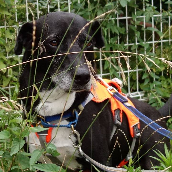 00399660 eaac 43d7 a55e c7038dd15a7a 1719915190907