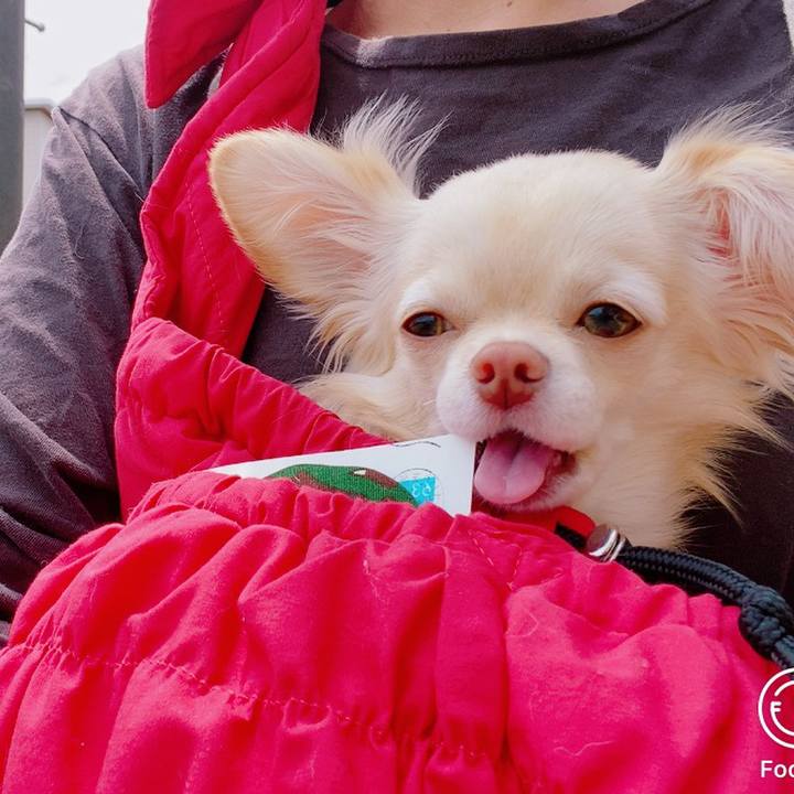 003a0b1c a754 4d60 ae8c 5112d2ffbade 1620961501571