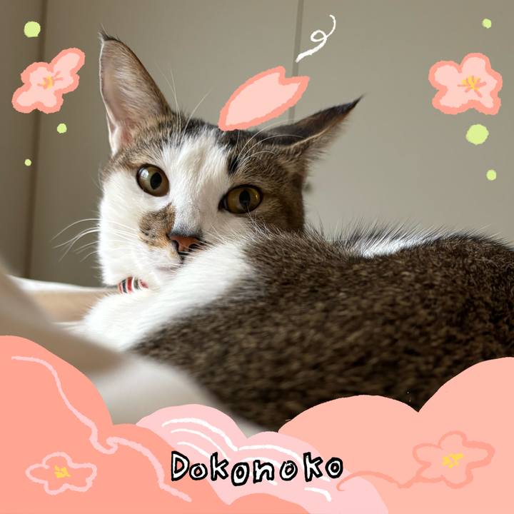 003a1d85 a09e 467b b35b af611ebd626c 1775324599100