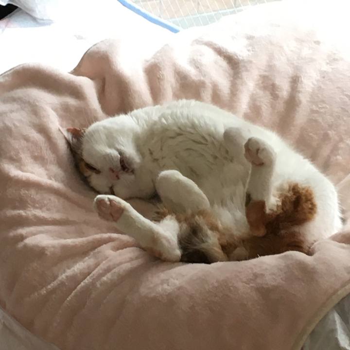 003a4e39 edc1 4f3d b541 0fa31bf865f1 1603537433187