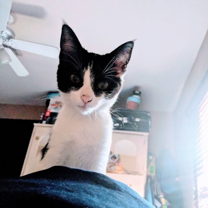 003a8090 c9b5 4811 a951 6d703e2ca178 1519263276067