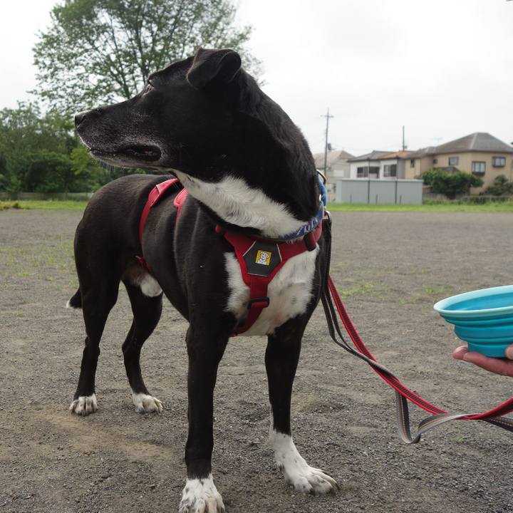 003a87d0 6b53 4dfa 8db4 4c980622445c 1687740505497