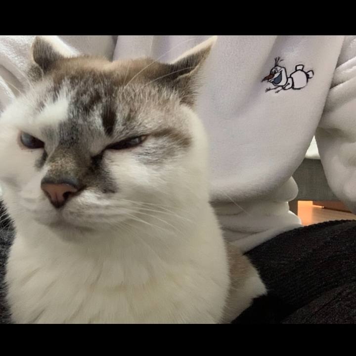 003aa2fc eb26 410b bcc8 fa9c1a5488eb 1576409216658