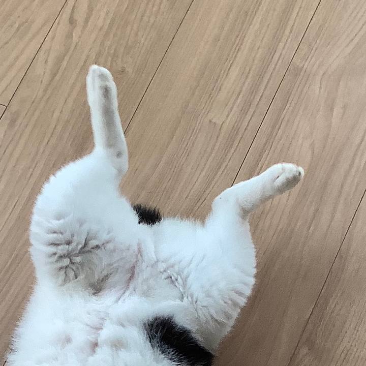 003aa439 cef7 482d 9e70 99c27b1b09d3 1598700395659