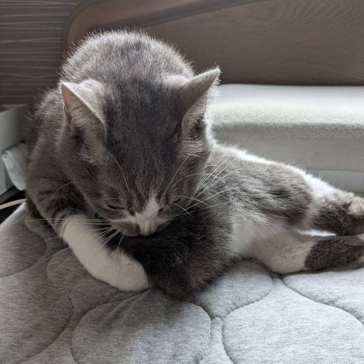 003ae8f5 9f0b 48ad a6e6 01161a7b33c2 1758247134988