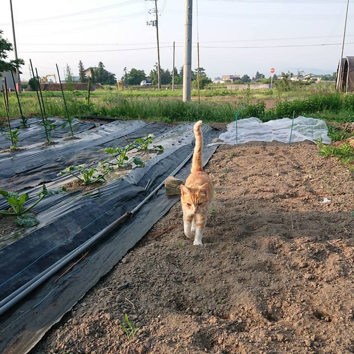 003af41d aeed 42cb 991d a470d1dd99e4 1591303520060