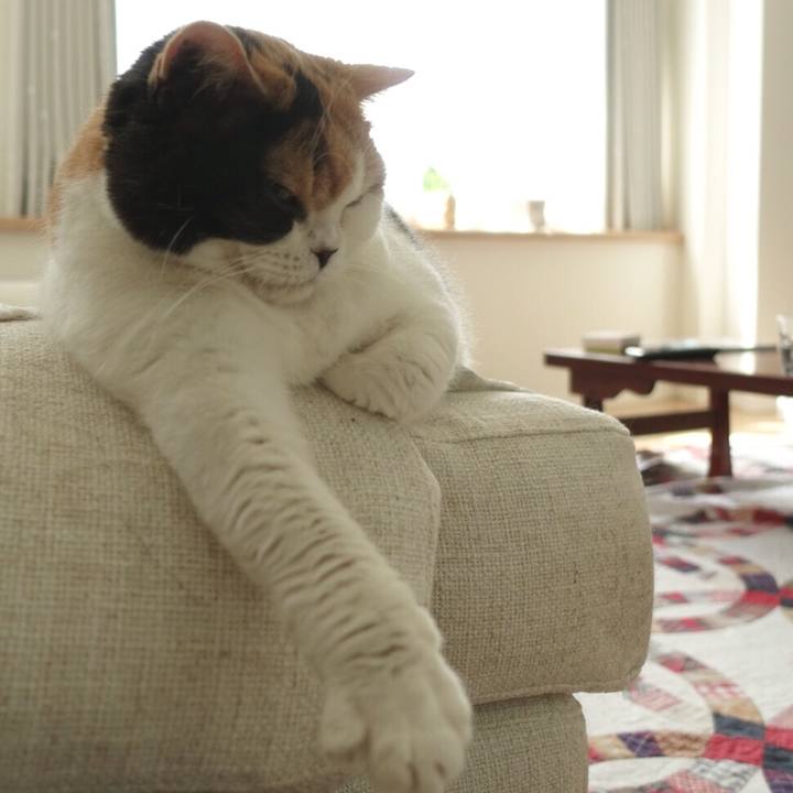 003af6c4 f94d 4bfc 9b3c 0e30866f6264 1539009268318