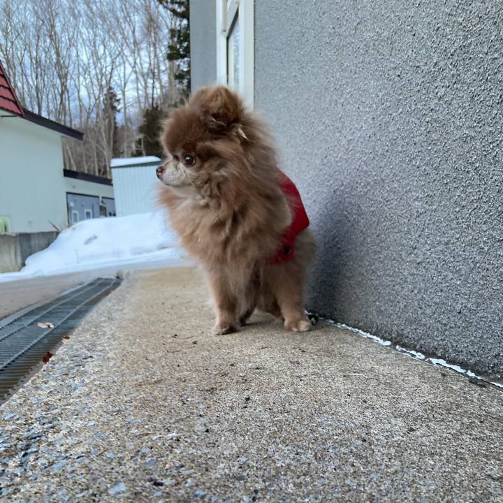 003b60f0 460f 403e abc0 74f9200eecc8 1738452358878