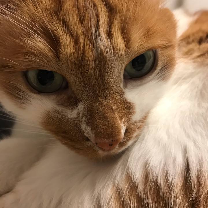 003b7b59 970f 4680 a1a7 3f8175a9f957 1619927946107