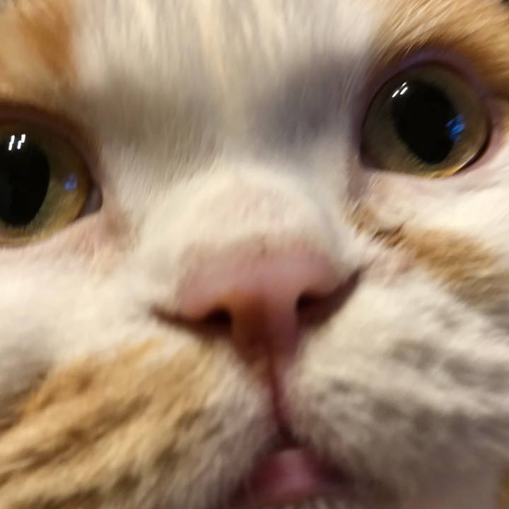003b8e51 7564 409e 973f 59ae124ed2b5 1607984949633