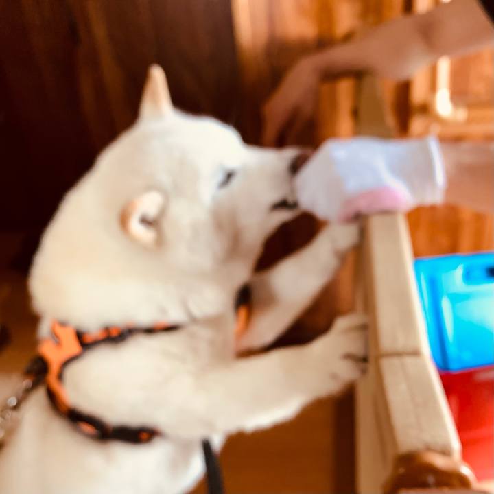 003b9c62 15ba 4cf0 8ed8 09e316e04e2e 1649710869561