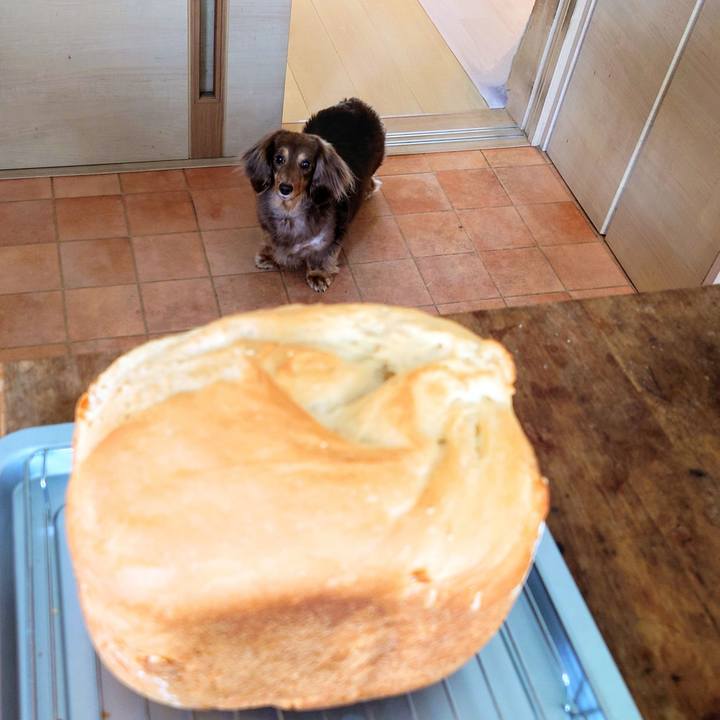 003bc539 ea4a 43fb be7e a0cd667c8561 1714462711674