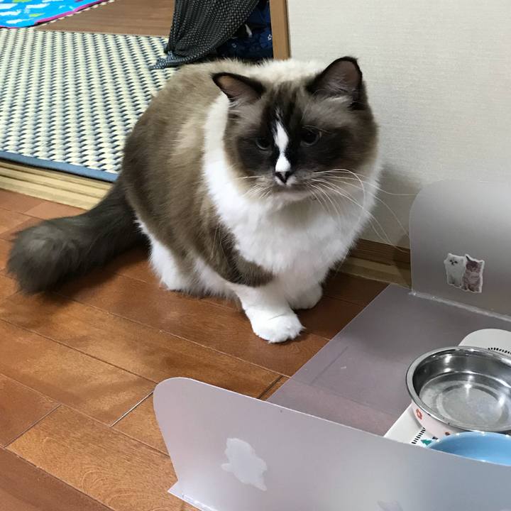 003bd6ca da1d 4f24 b713 e932e61b989a 1509980055941