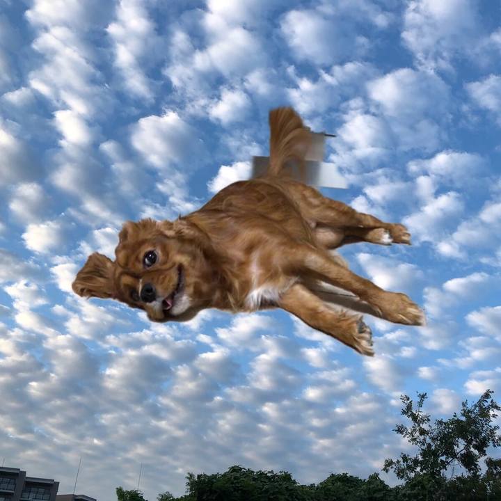 003bdcc3 5f7d 4548 991b 3280feddd36f 1569507222721