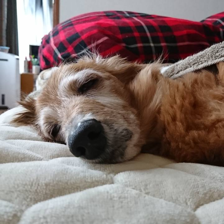 003be0a1 6365 4233 bdb8 6e02516d2b9c 1587234678789