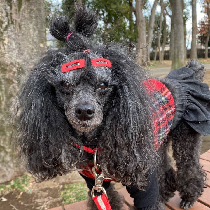 003bede9 df9e 447d 843f 8e1380c902fb 1708423115535