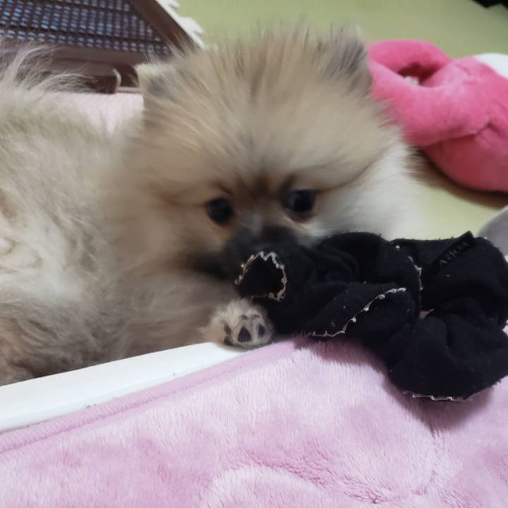 003bef3a b928 4927 828e 5ce04bfd310e 1611115467794