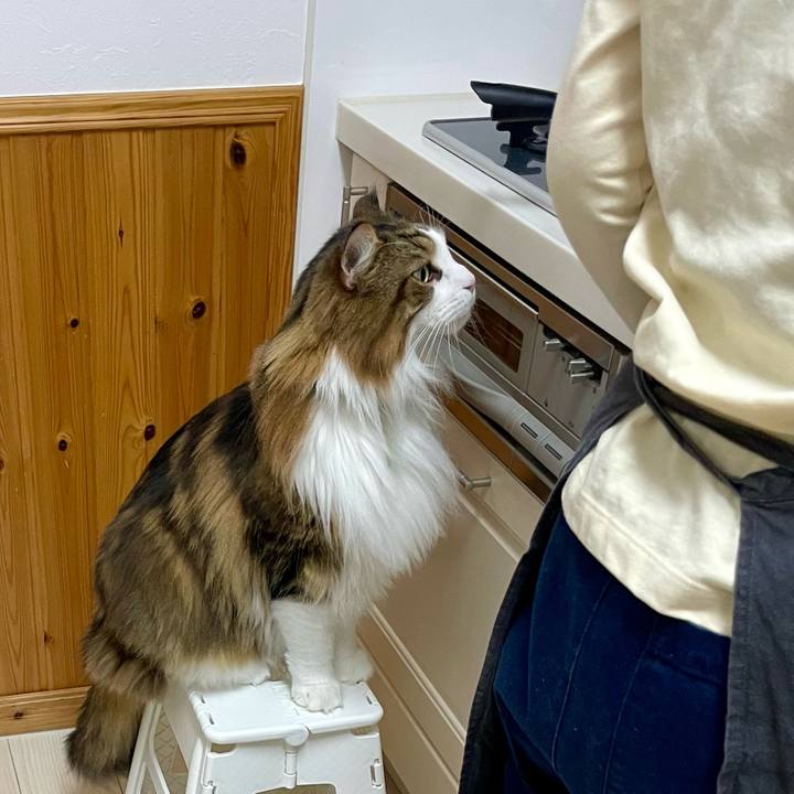 003bfbbb 4bbd 46b6 867c 8bfc7ca1861f 1736719788216