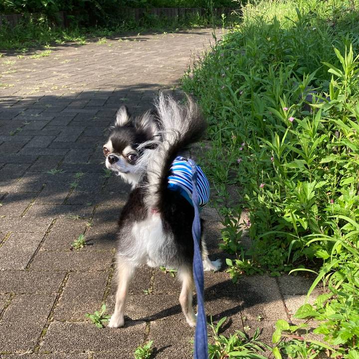 003bfe6d 3fc2 4b42 a74f 75f9531c650f 1687660209485