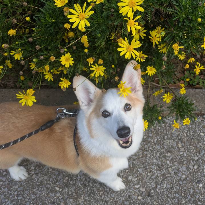 003c2dc5 e3dd 4512 9c67 9a0ad81327f4 1762575664175