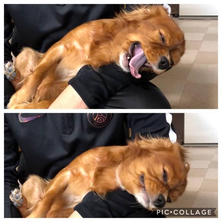 003c4dc2 bf19 4a1e adc1 5f73b9cf2ce4 1572759337548