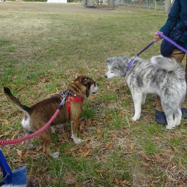 003c7fd8 dd9e 4ce0 958f 5b0384b9a3ee 1585363841143